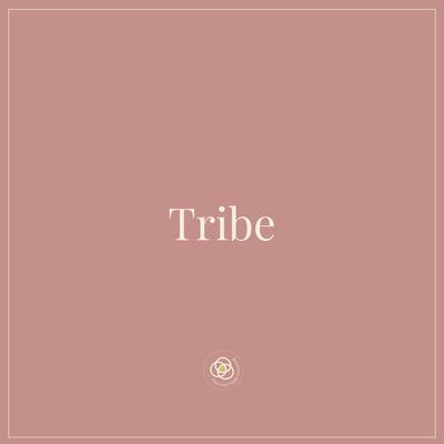 Tribe Tribe